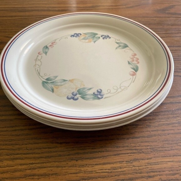 4 Corelle by Corning 10 1/4” Abundance Dinner Plates - Picture 8 of 8